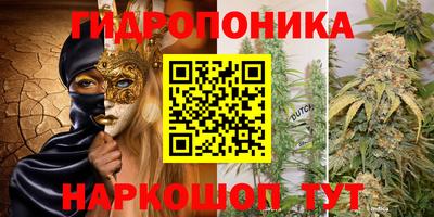 ешки Кингисепп