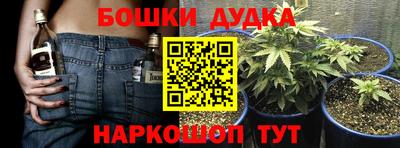 ешки Кингисепп