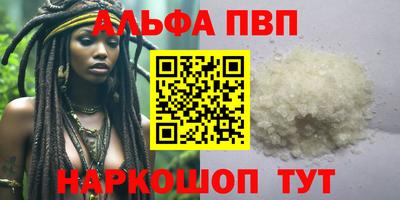 ешки Кингисепп