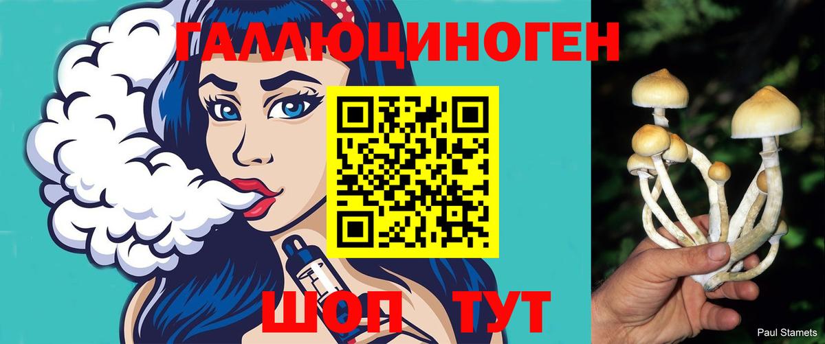 Псилоцибиновые грибы прущие грибы  Вход с VPN  Каменка 